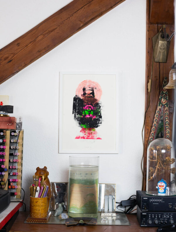 Robert – Bild 2